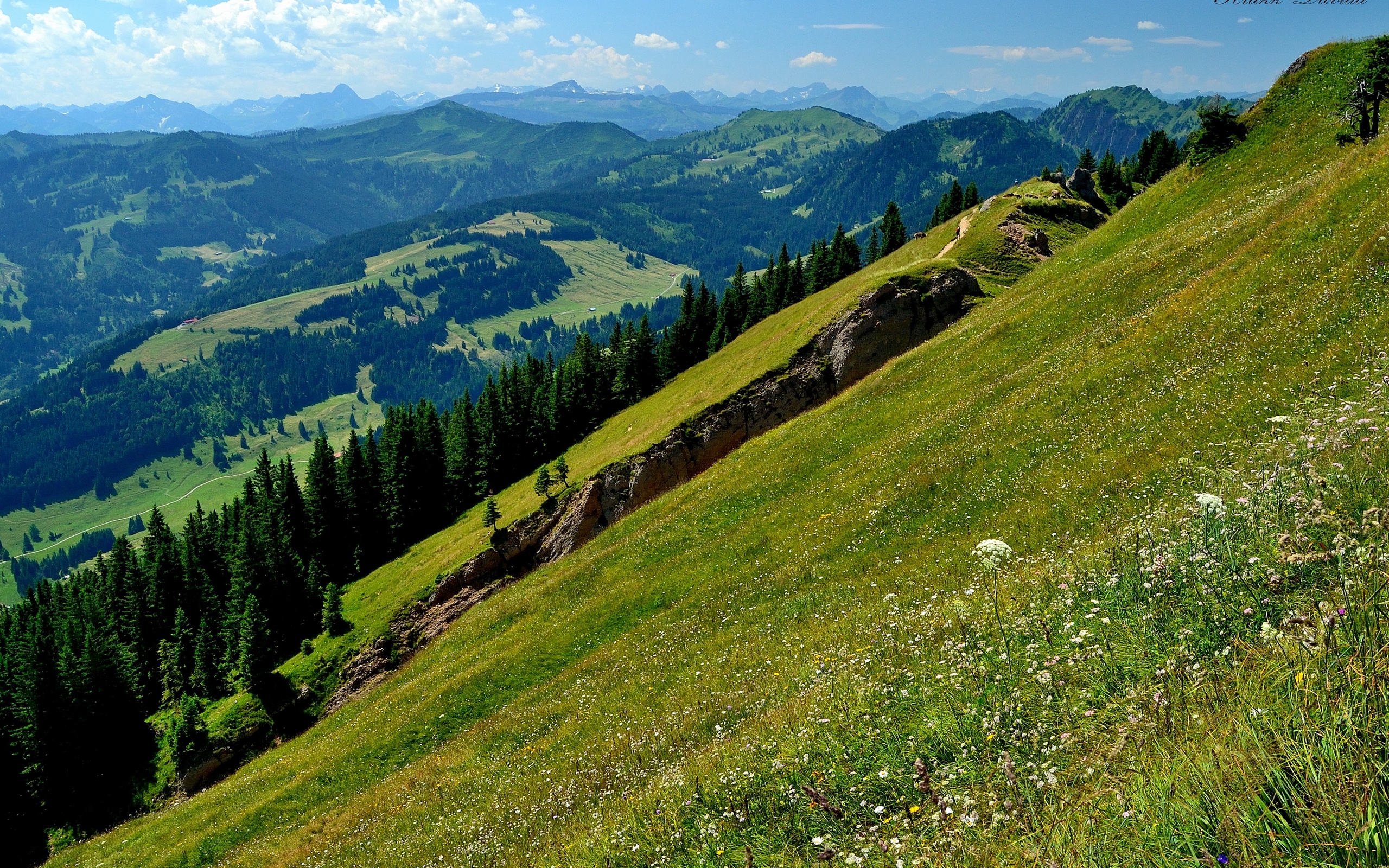 mountains, Hills, Sky, Forest, Nature Wallpaper