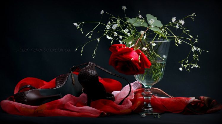 rose, Shoes, Vase, Scarf, Style HD Wallpaper Desktop Background