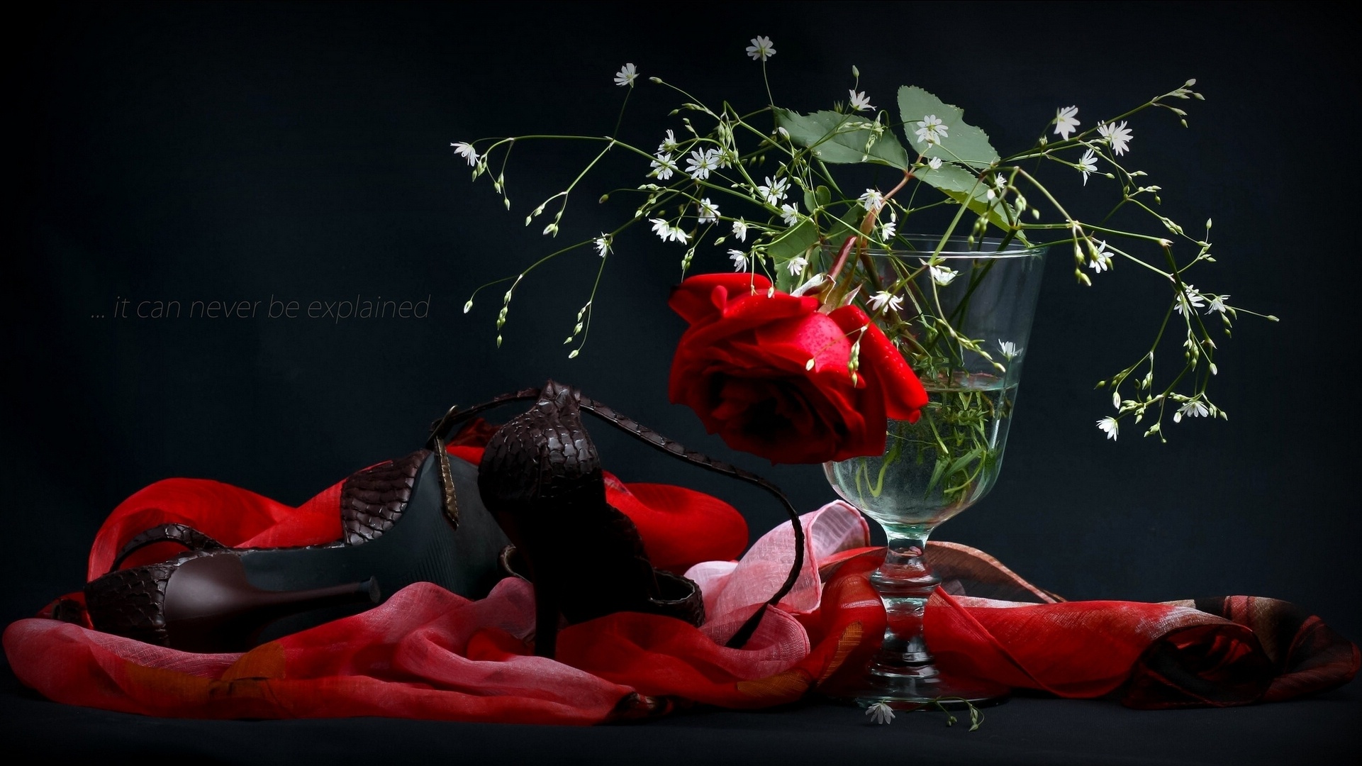 rose, Shoes, Vase, Scarf, Style Wallpaper