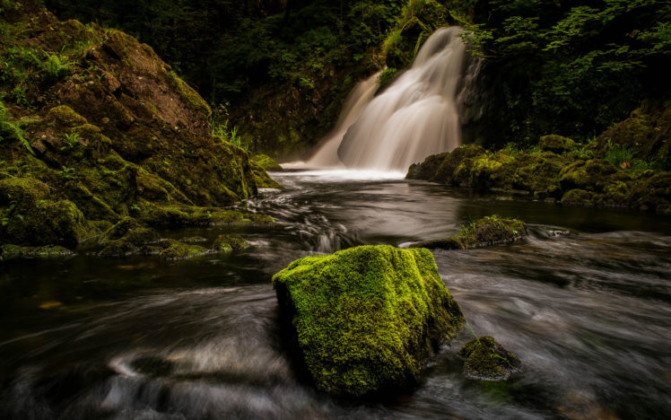 waterfall, Moss, River, Forest HD Wallpaper Desktop Background