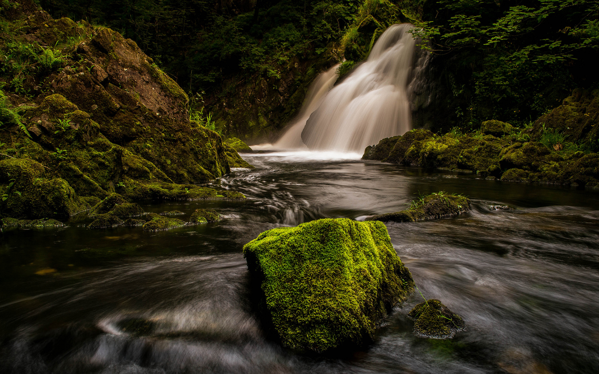 waterfall, Moss, River, Forest Wallpaper