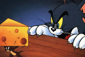 cheese, Tom,  cartoon , Tom, And, Jerry