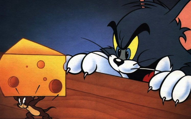 cheese, Tom,  cartoon , Tom, And, Jerry HD Wallpaper Desktop Background