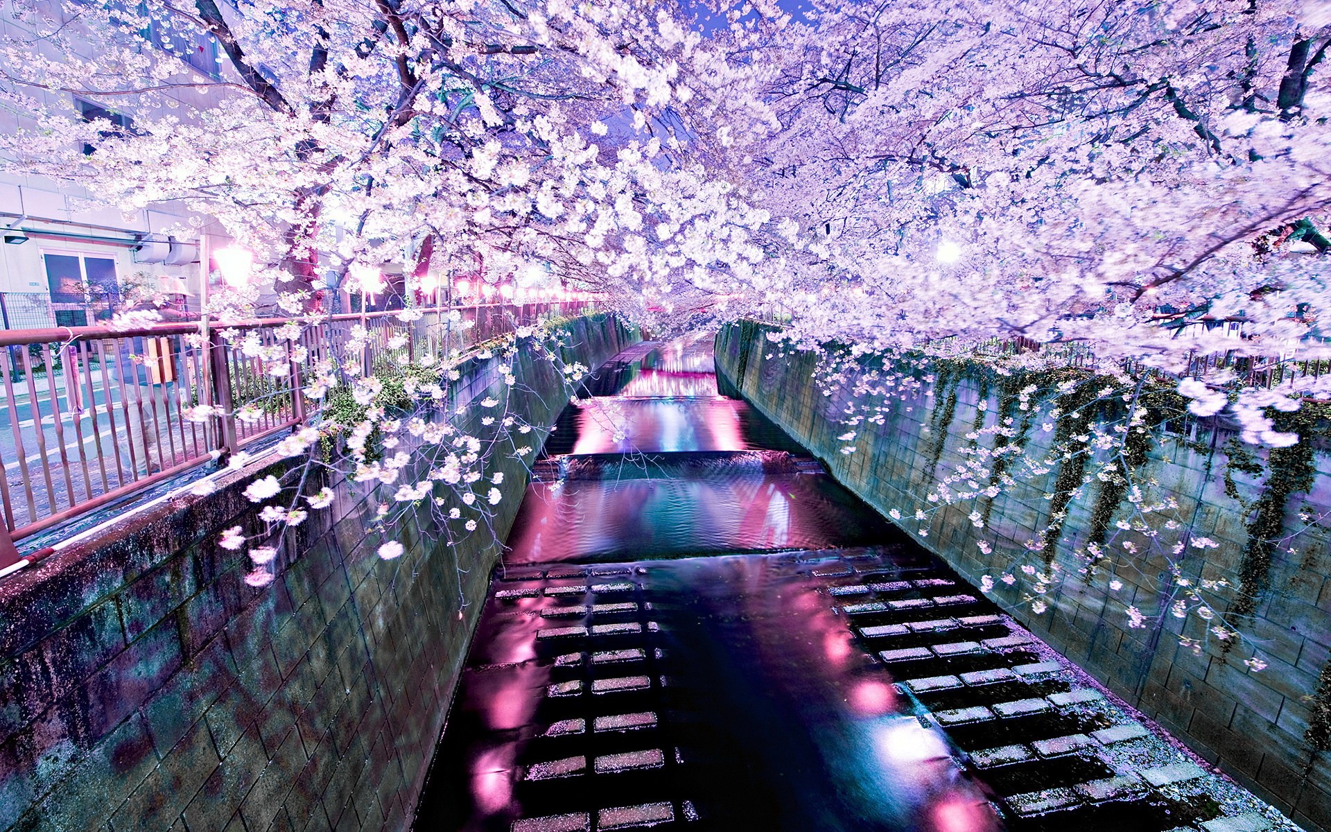12601 Wallpaper