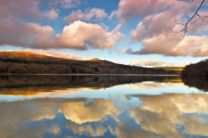lake, Hill, Sky, Clouds, Reflection, Branch