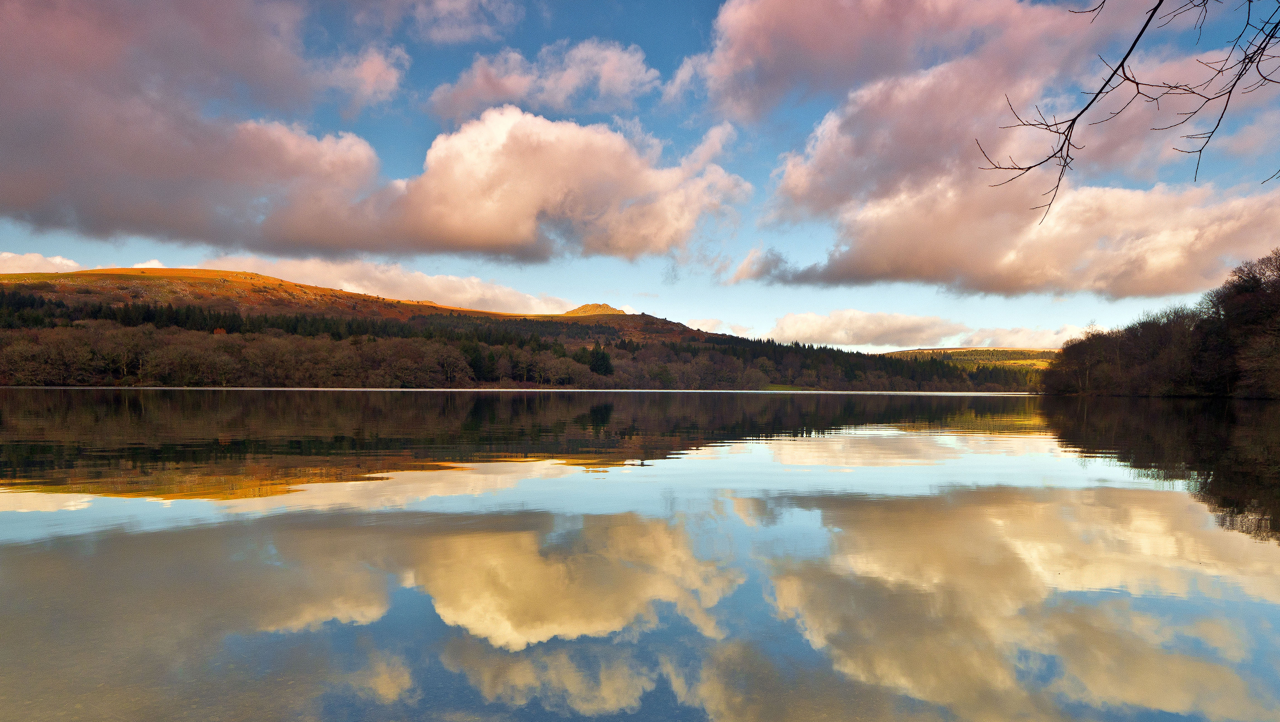 lake, Hill, Sky, Clouds, Reflection, Branch Wallpaper