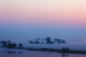 morning, River, Mist, Sky, Fog, Mood, Lake, River, Landscape, Birds