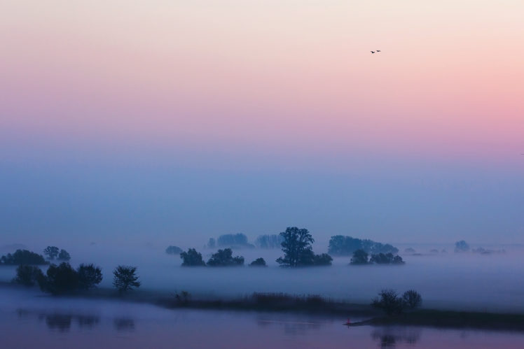 morning, River, Mist, Sky, Fog, Mood, Lake, River, Landscape, Birds HD Wallpaper Desktop Background