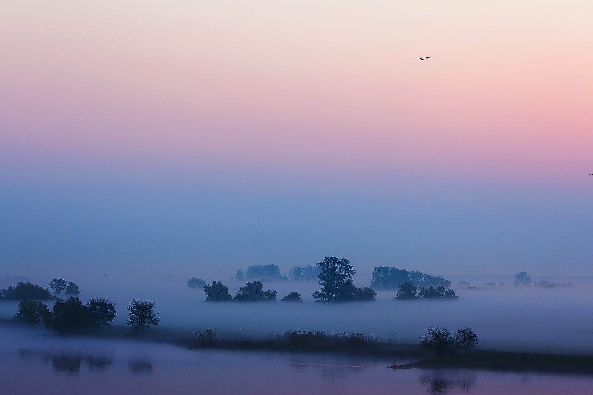 morning, River, Mist, Sky, Fog, Mood, Lake, River, Landscape, Birds Wallpaper