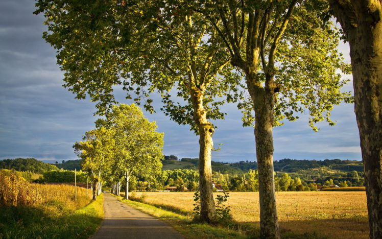 road, Trees, Landscape HD Wallpaper Desktop Background