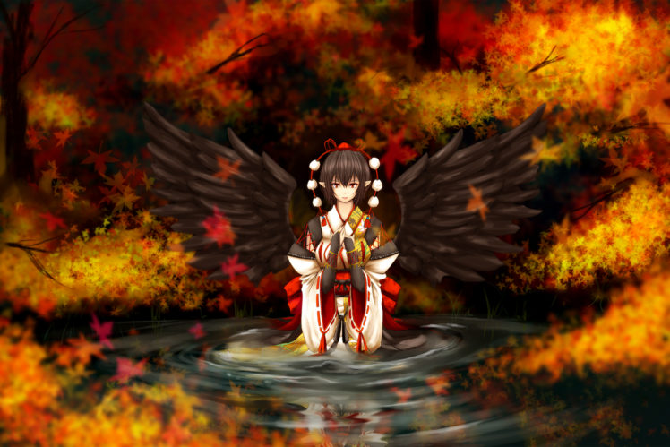 touhou, Autumn, Black, Hair, Hat, Japanese, Clothes, Leaves, Red, Eyes, Shameimaru, Aya, Touhou, Untsue, Water, Wings HD Wallpaper Desktop Background