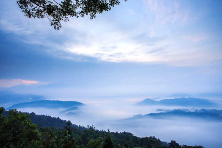 morning, Mist, Nature, Landscape, Fog HD Wallpaper Desktop Background