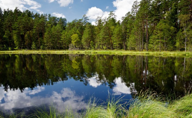 river, Forest, Trees, Reflection, Lake HD Wallpaper Desktop Background