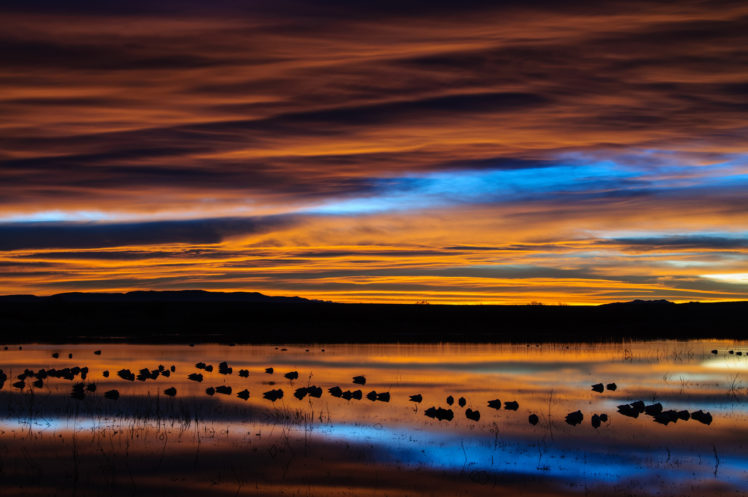 preserve, Lake, Reflection, Birds, Morning, Dawn, Sky, Clouds, Sunrise, Reflection, Sky, Clouds HD Wallpaper Desktop Background