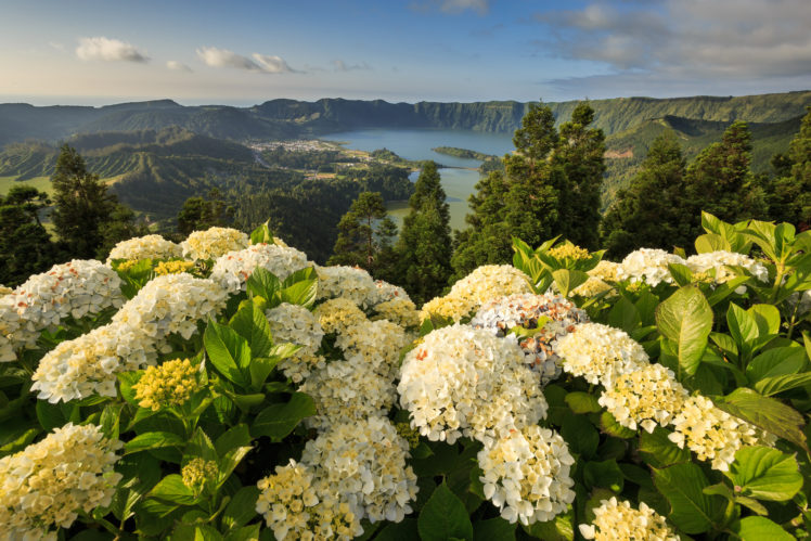 portugal, Hydrangeas, Mountain, Landscape, Lake HD Wallpaper Desktop Background