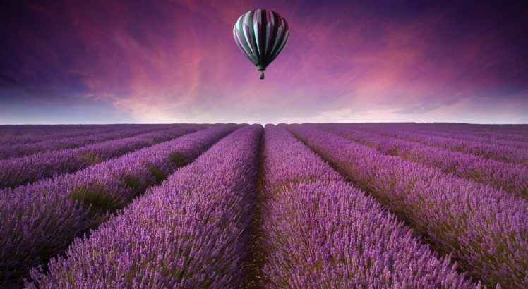 nature, Landscape, Field, Fields, Air, Balloon, Flowers, Purple, Sky HD Wallpaper Desktop Background