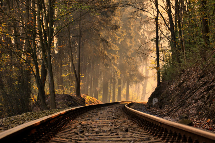 railroad, Forest, Train, Tracks, Trees HD Wallpaper Desktop Background