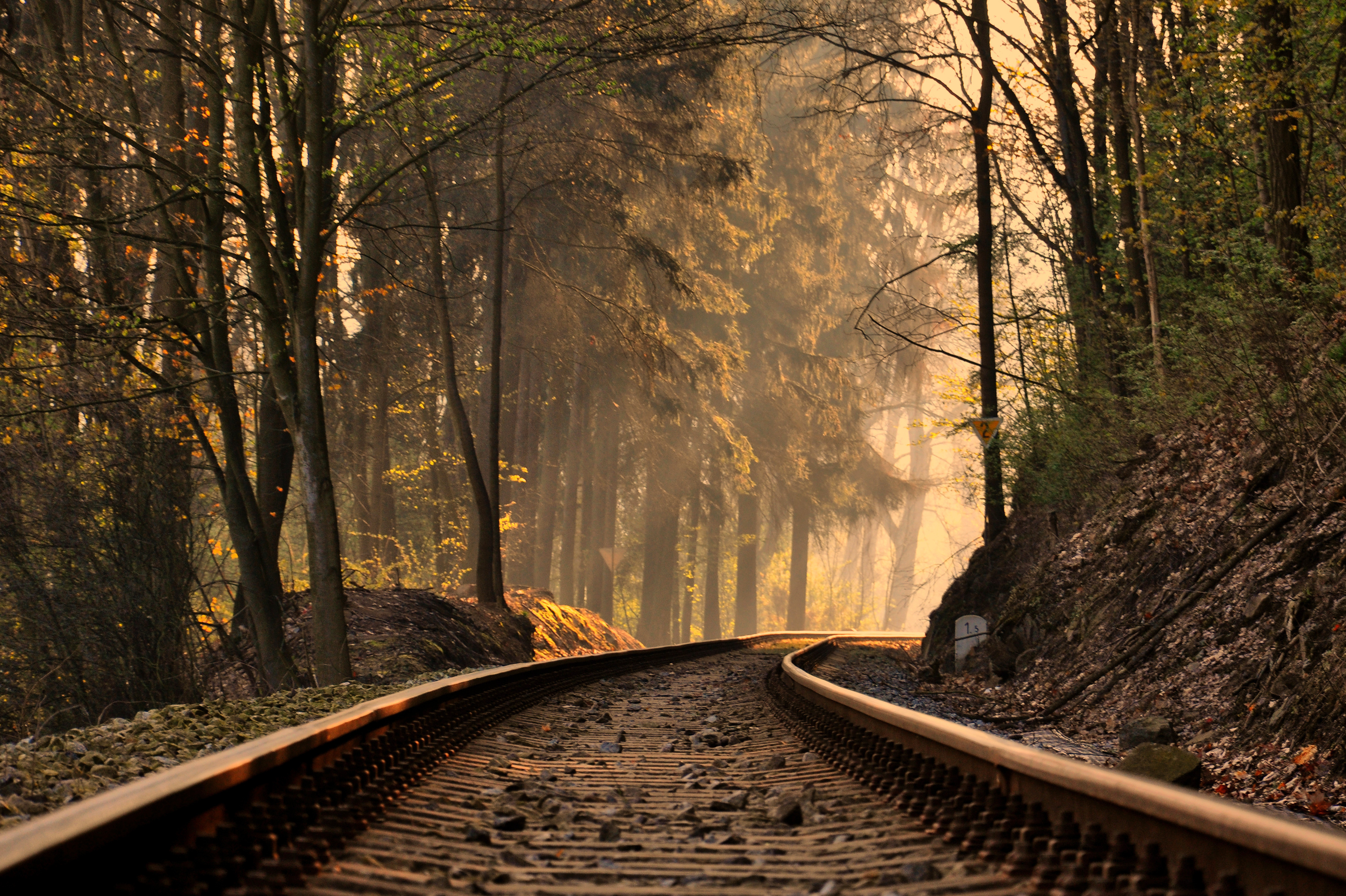 railroad, Forest, Train, Tracks, Trees Wallpaper