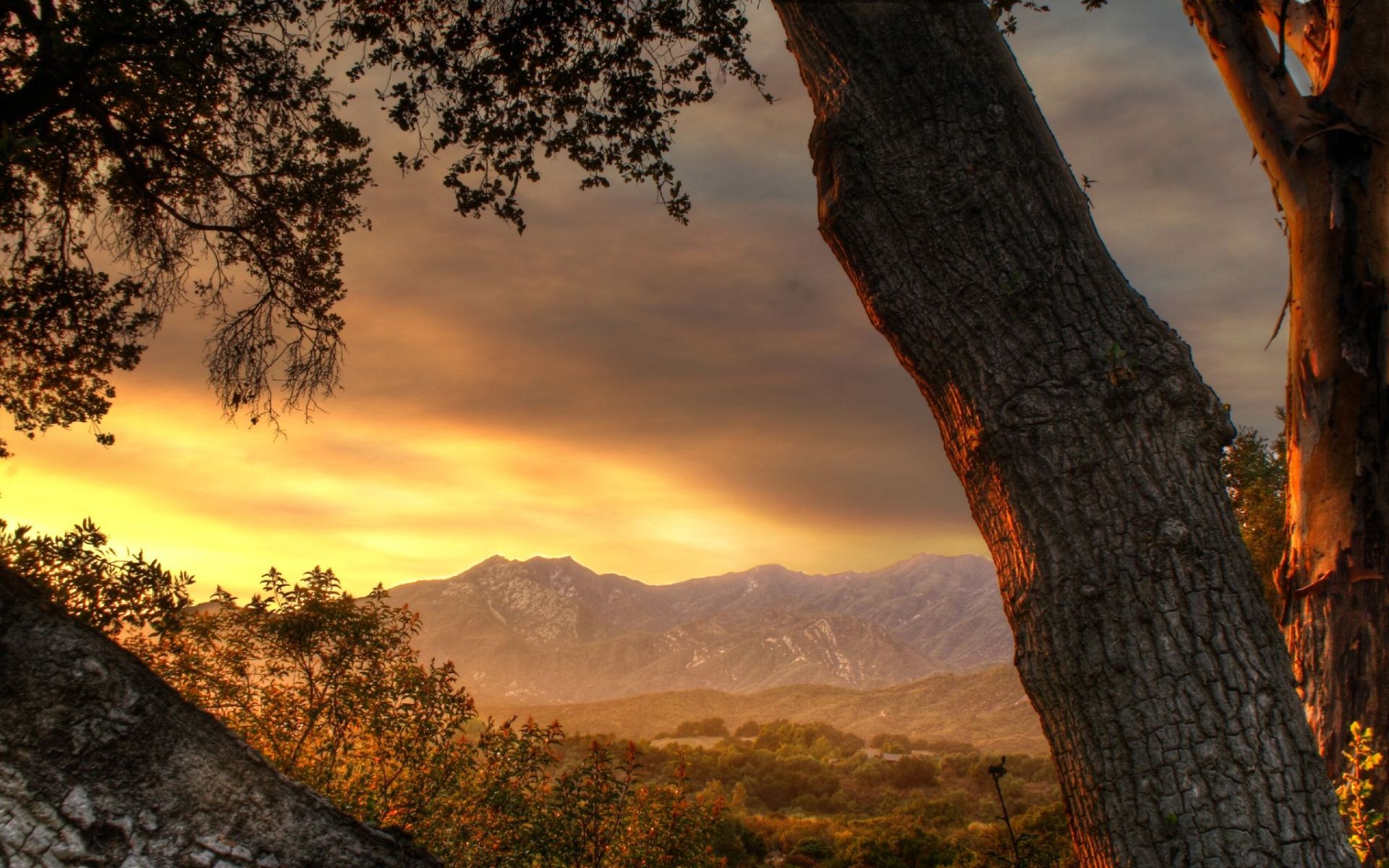 sunset, Mountains, Landscapes, Trees, Valley, Hdr, Photography Wallpaper