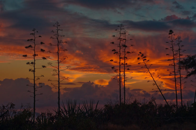 hawaii, Kauai, Sky, Sunset HD Wallpaper Desktop Background