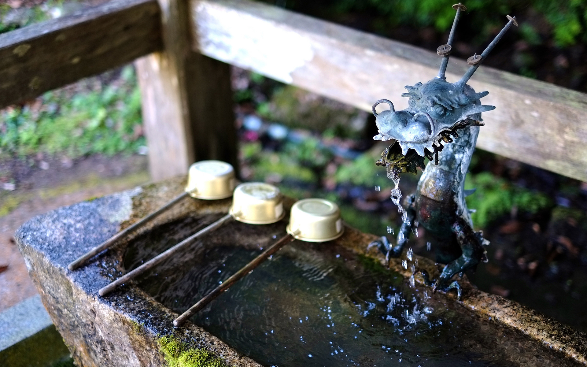 dragon, Fountain, Water, Asian, Dragons, Bokeh Wallpaper