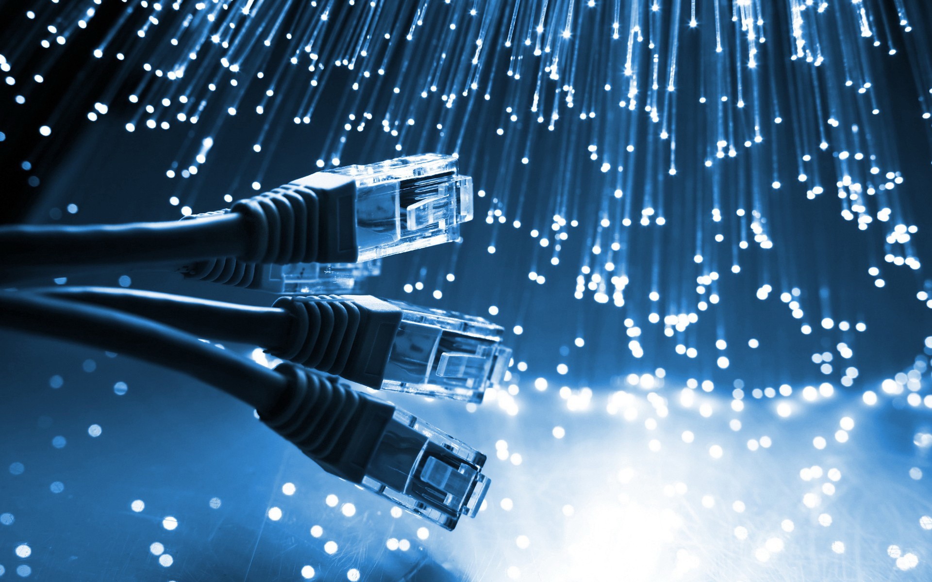 light, Network, Computers, Components, Ethernet, Cable, Optical, Fiber Wallpaper