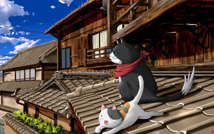 cats, Nyan, Koi HD Wallpaper Desktop Background