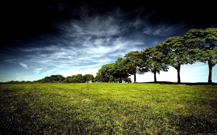 clouds, Nature, Trees, Grass HD Wallpaper Desktop Background