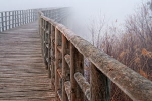bridge, Close up, Railing, Fog