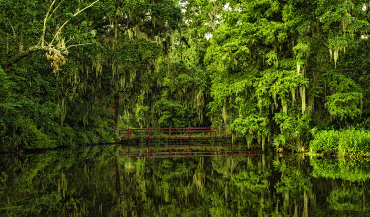 bridge, Reflection, Water, Trees HD Wallpaper Desktop Background