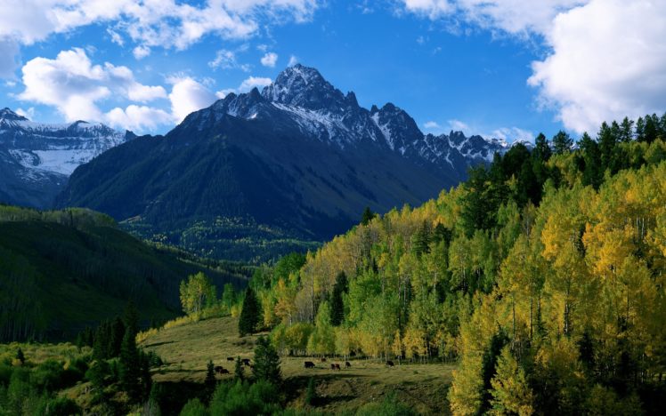 trees, Hills, Mountains, Fall, Forest, Sky HD Wallpaper Desktop Background