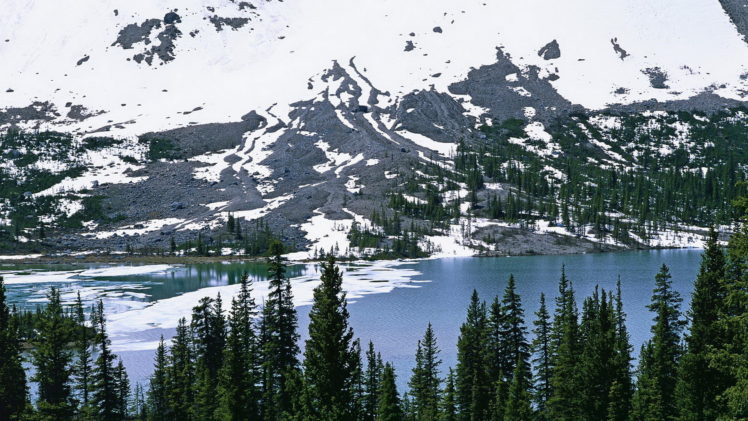 trees, Pine, Needles, Snow, Slope, Forest, Winter, River, Mountain HD Wallpaper Desktop Background