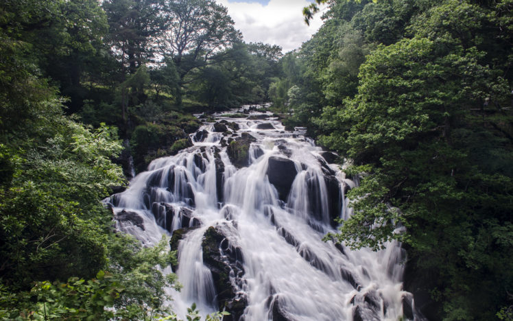 river, Waterfall, Forest, Trees, Rocks, Stones HD Wallpaper Desktop Background