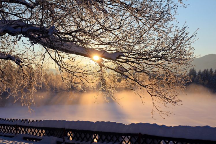 dawn, Morning, Snow, Trees, Frost, Winter, Fog, Sunrise HD Wallpaper Desktop Background