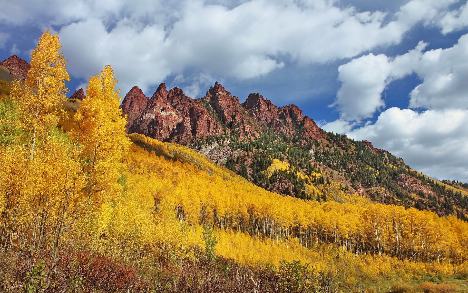 autumn Wallpaper