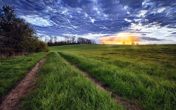 road, Grass, Clouds, Horizon, Sun, Sunset HD Wallpaper Desktop Background