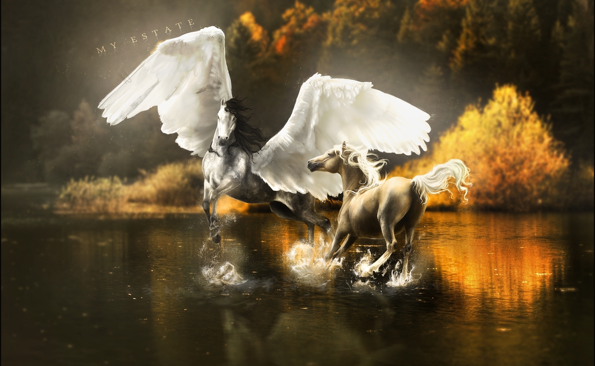 magical, Animals, Pegasus, Horses, Wings, Horse, Lake, Autumn, Reflection Wallpaper