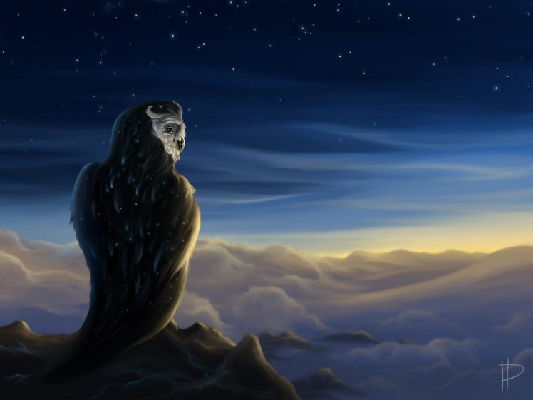 birds, Owls, Magical, Animals, Sky, Bird, Owl, Stars, Sky, Sunset HD Wallpaper Desktop Background
