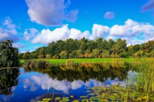 finland, Pond, Wood, Reeds, Clouds, Reflection, Autumn, Fall
