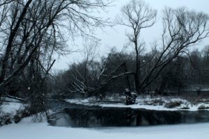 winter, Forest, River, Snow, Trees