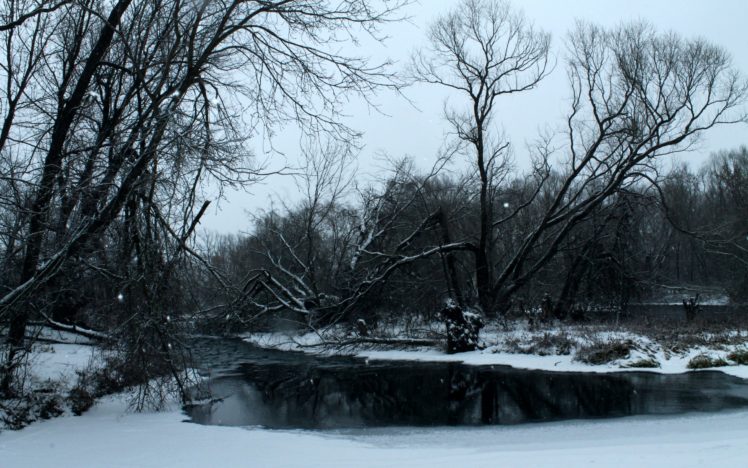 winter, Forest, River, Snow, Trees HD Wallpaper Desktop Background