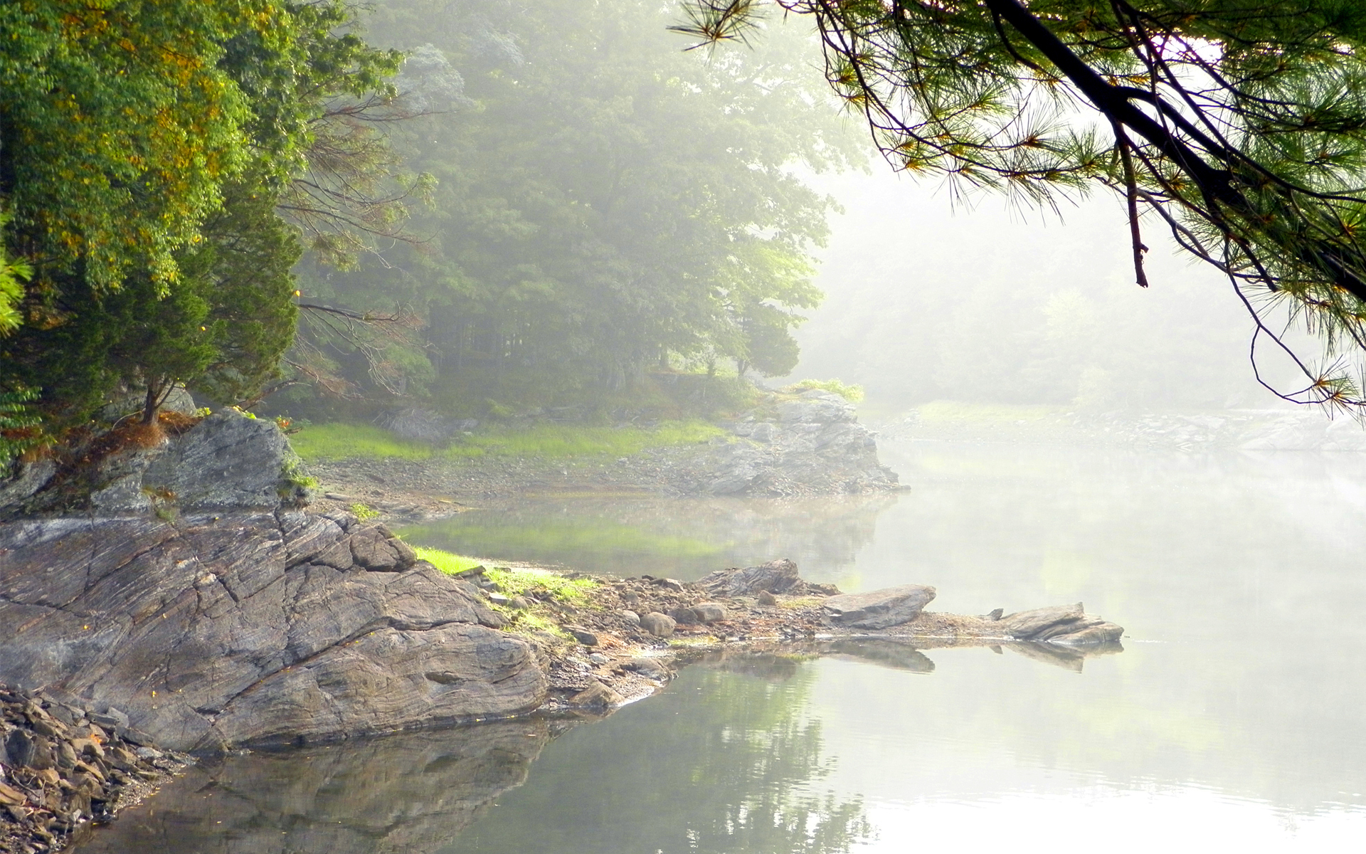 wood, Rocks, Lake, Mist, Fog, Mood, Trees, Shore, Reflection Wallpaper