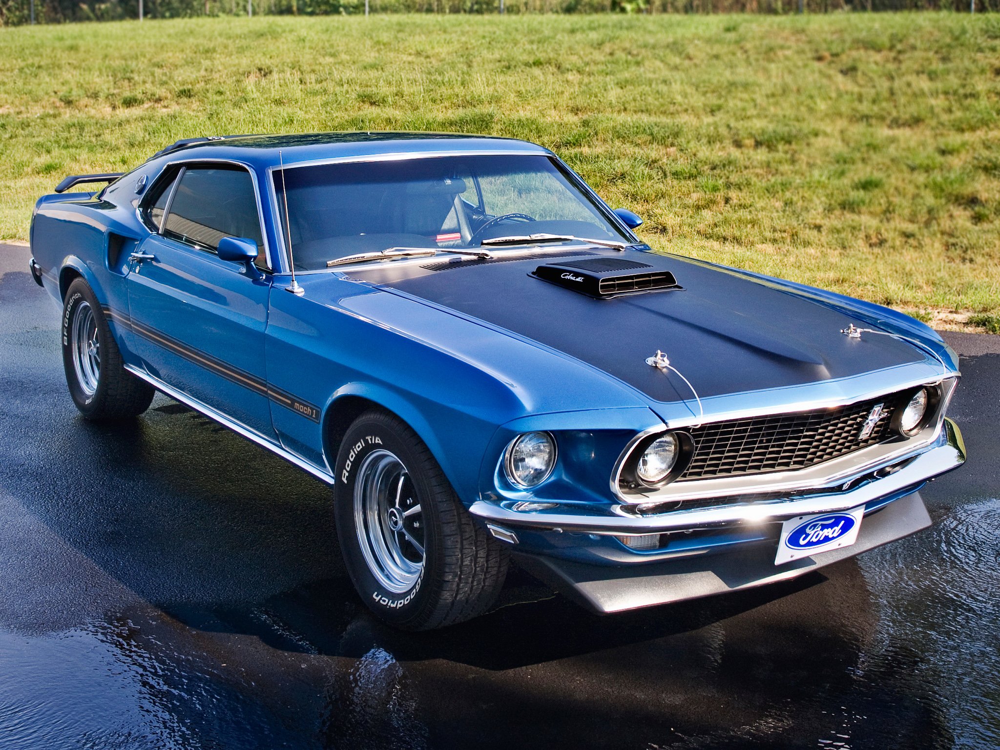 1969 Ford Mustang Mach 1 Muscle Classic Wallpapers Hd Desktop | Porn ...