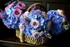 flowers, Rose, Pink, And, Blue