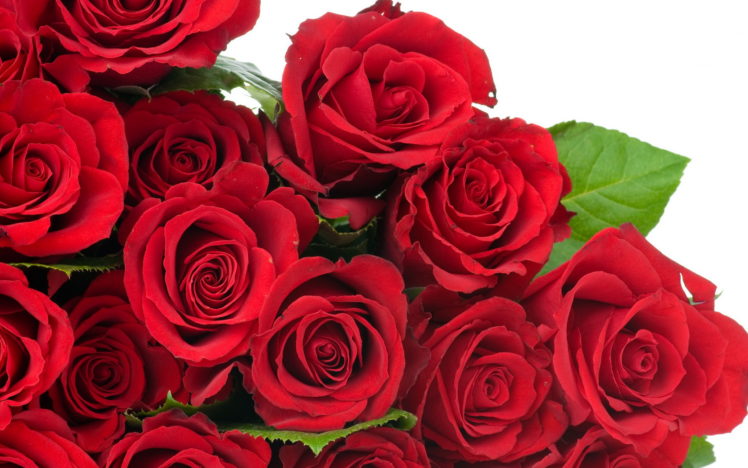flowers, Rose, Red, Bouquet HD Wallpaper Desktop Background