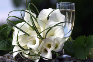 flowers, Bridal, Bouquet, Glass, Champagne