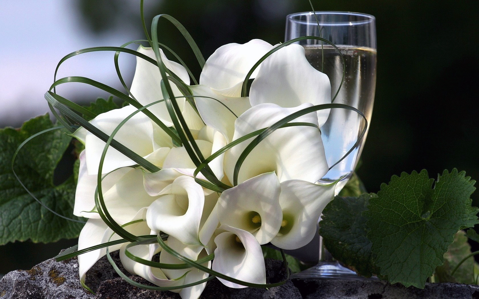 flowers, Bridal, Bouquet, Glass, Champagne Wallpaper