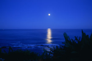 night, Sea, Moon, Ocean, Reflection