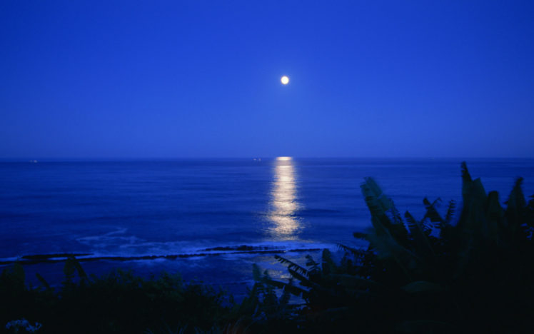 night, Sea, Moon, Ocean, Reflection HD Wallpaper Desktop Background