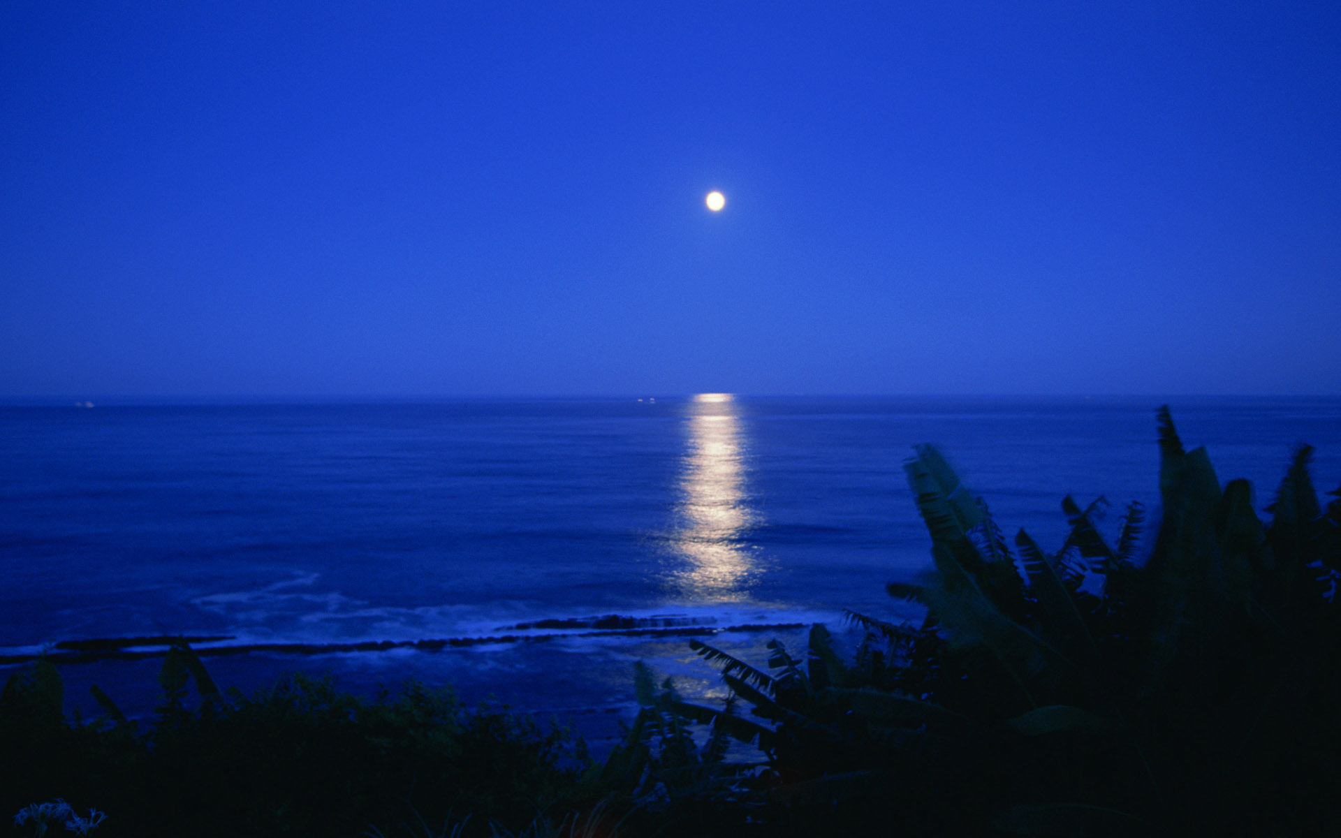 night, Sea, Moon, Ocean, Reflection Wallpaper